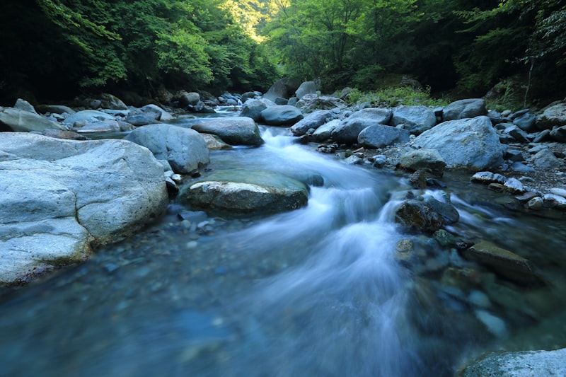 Riverbank restoration